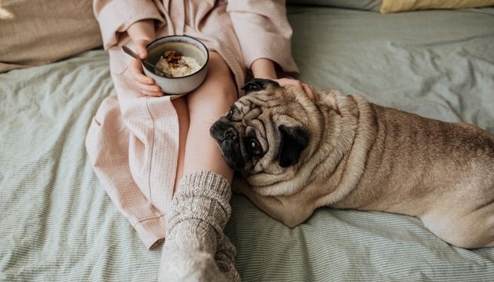 Woman with bowl of oatmeal and dog