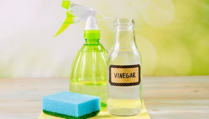 Vinegar next to a spray bottle and sponge
