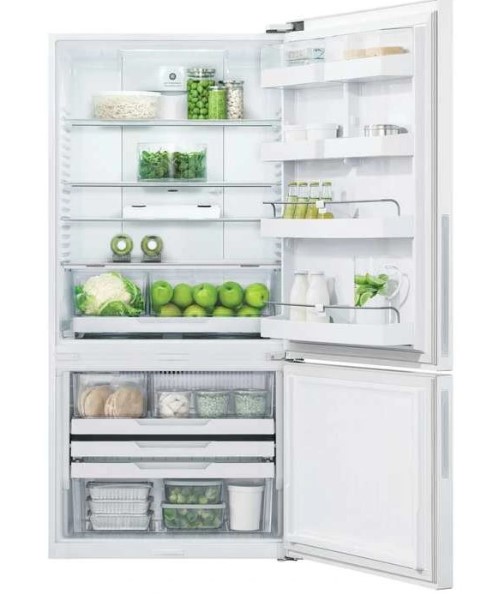 Bottom Freezer Contemporary Refrigerator with Open Doors