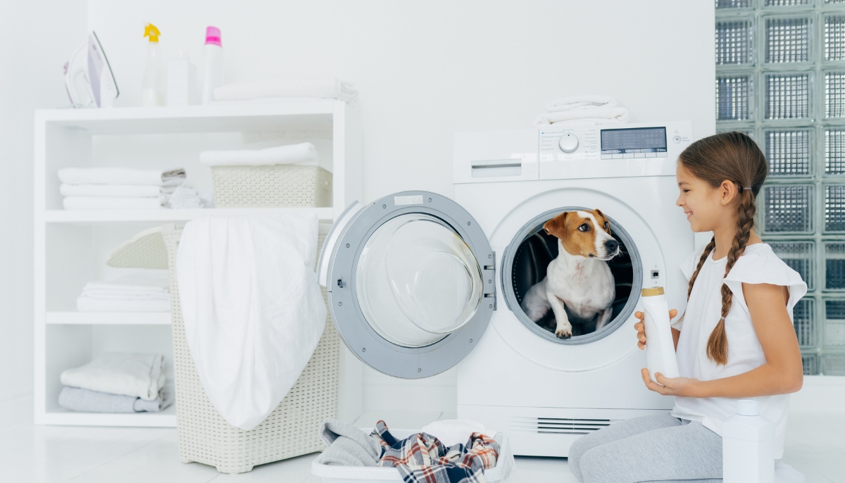 Pet Owners' Secret: How to Eliminate Pet Hair & Smells in Laundry ...