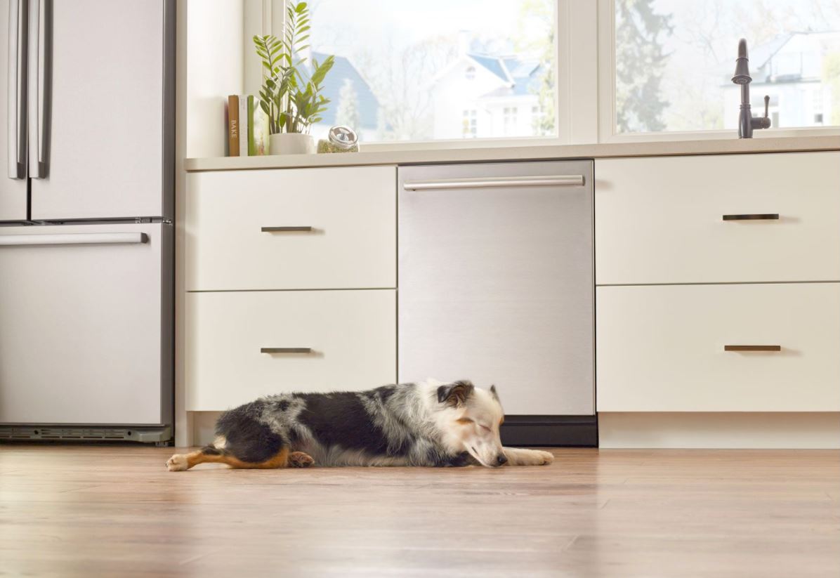 dog sleeps peacefully in kitchen with low-noise Bosch dishwasher