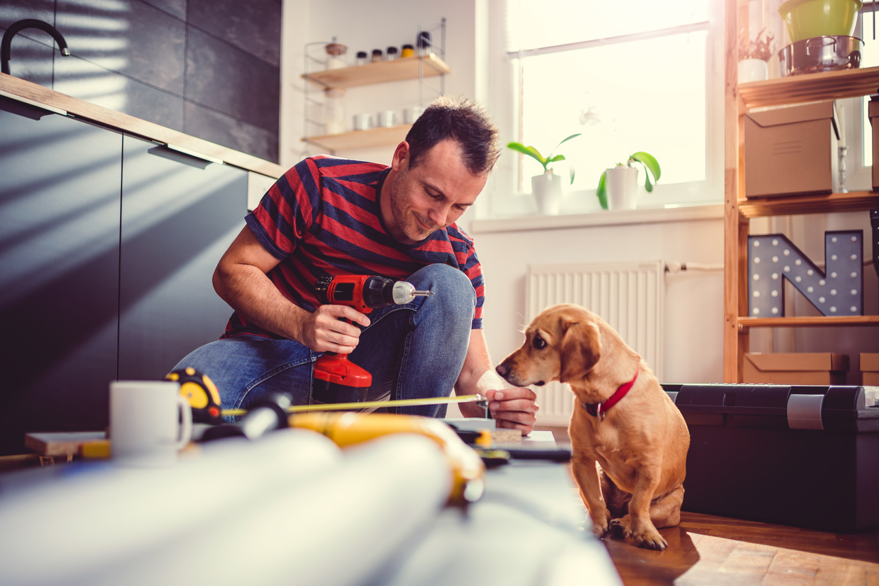 Man in striped shirt holds a drill while using a measuring tape accompanied by a dog