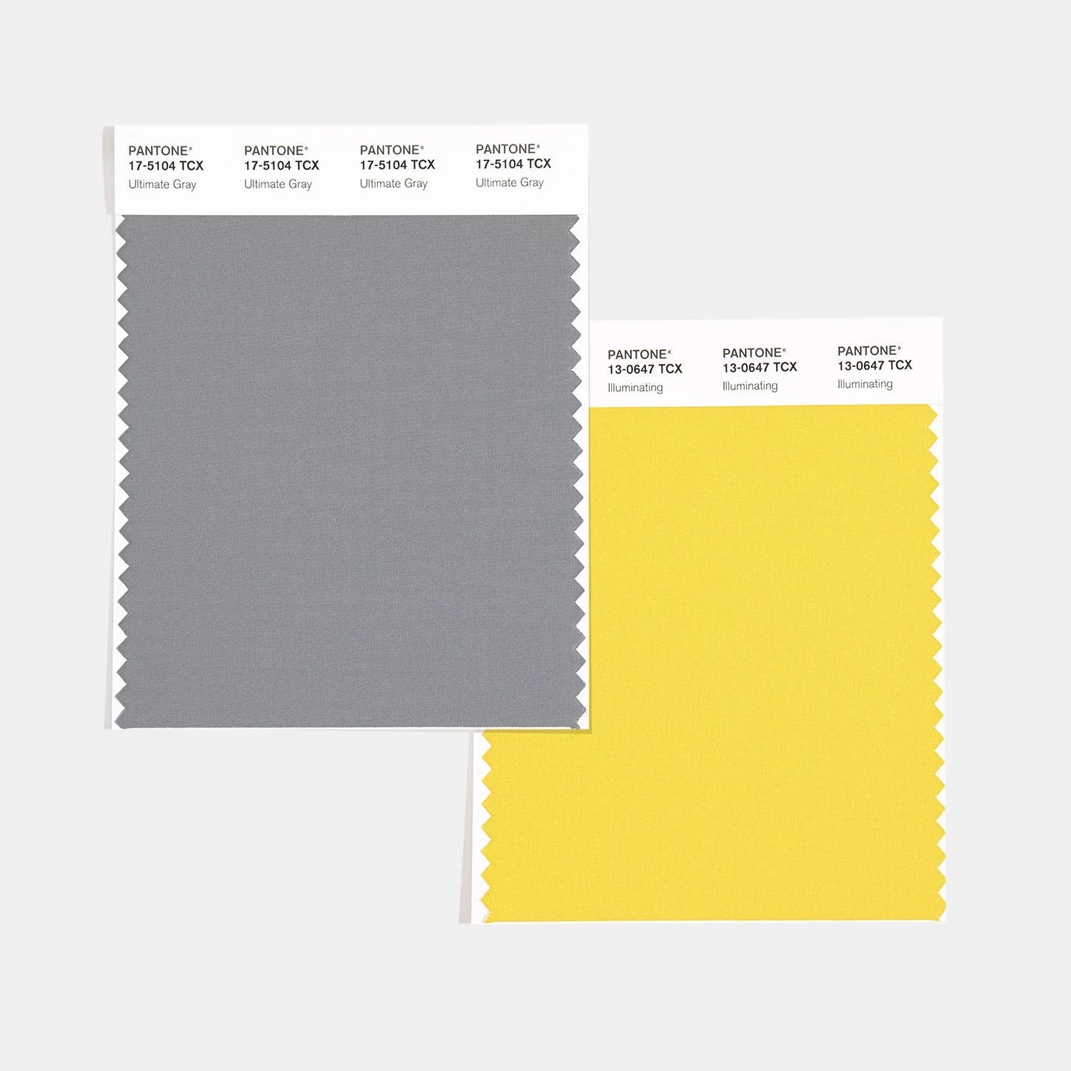 BAPP1 Pantone Color Of The Year Swatch 