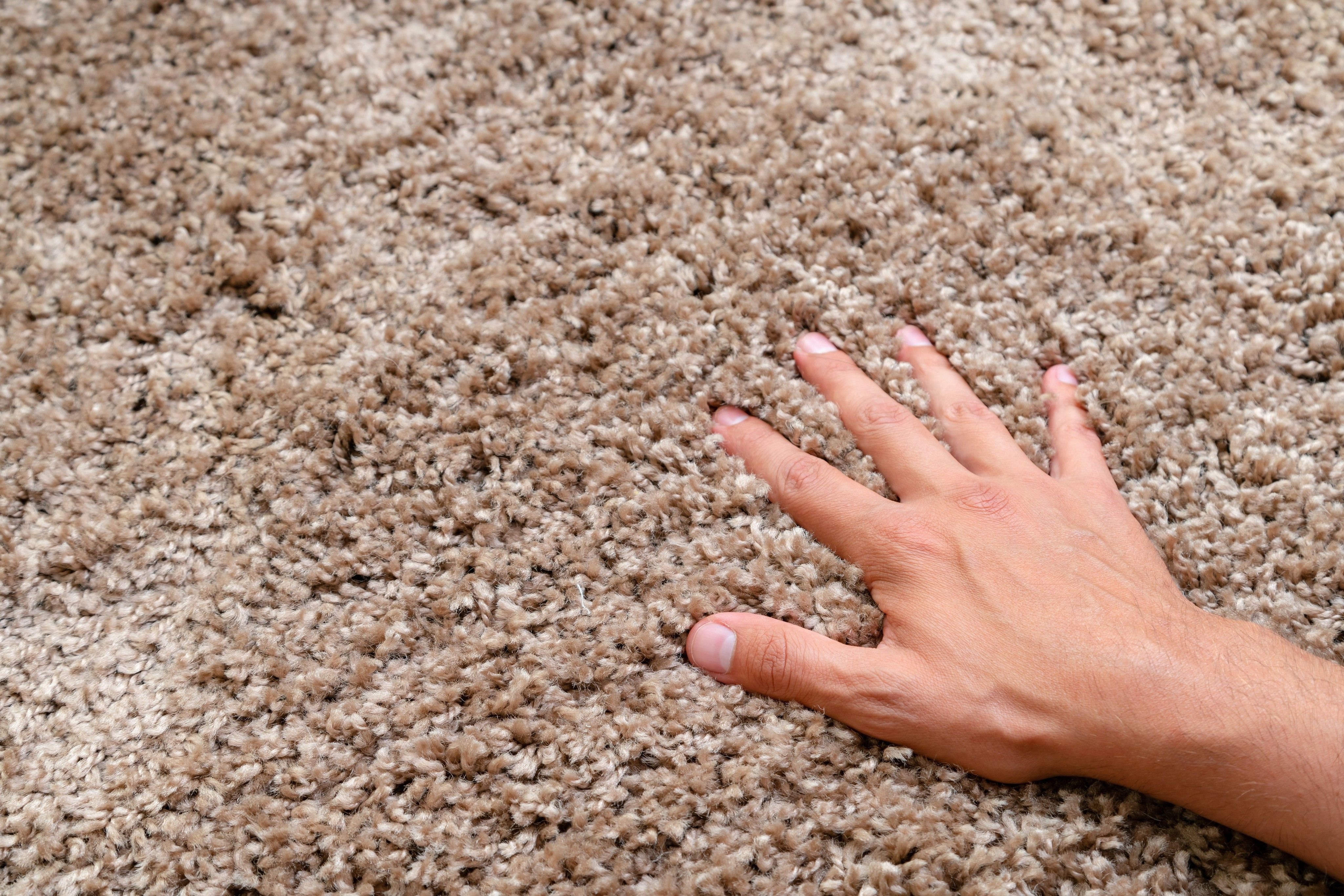 Carpet Padding: The Secret to Stellar Carpet