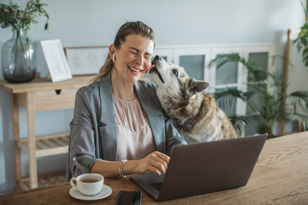 Woman working from home with earbuds in is joined by her canine colleague 