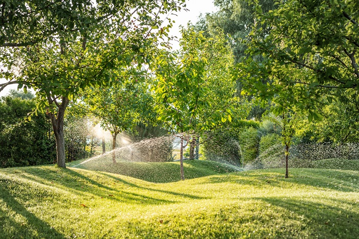 Landscape with smart garden watering system using automated sprinklers installed under turf