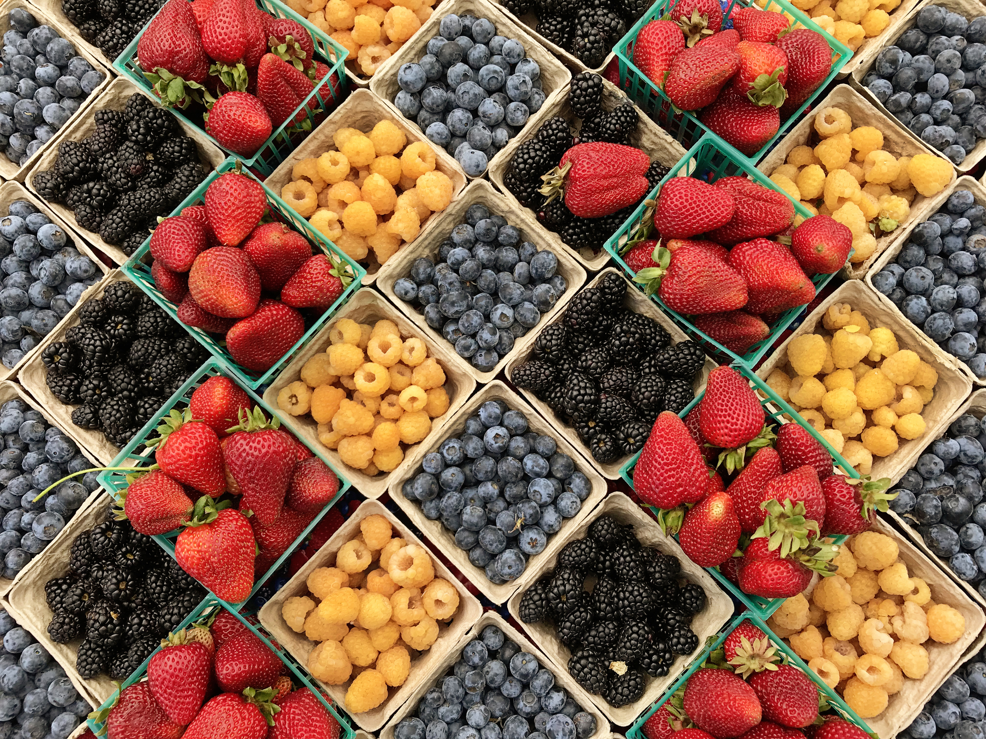 various berries in cardboard pint bins