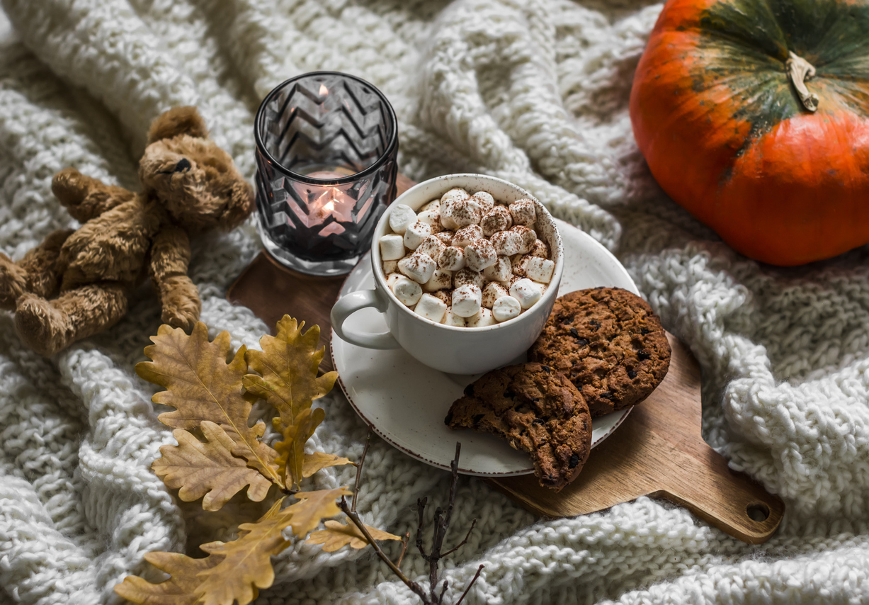 cocoa with marshmallow, chocolate cookies, yellow oak leaves, teddy bear, candle on a knitted blanket