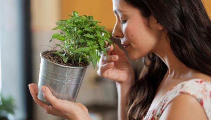 Woman smelling plant