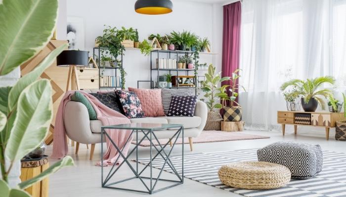 Bright living room with lots of plants