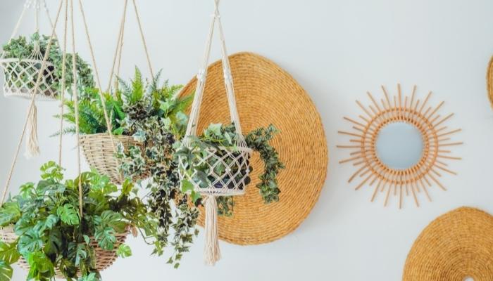 A white wall with bohemian decorations and hanging plants