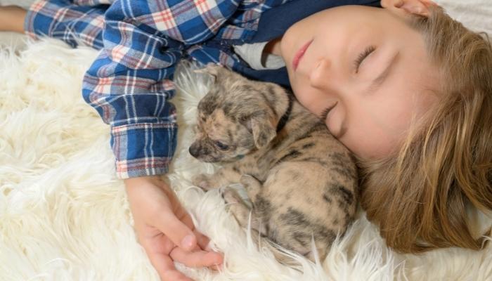 Kid sleeping next to puppy