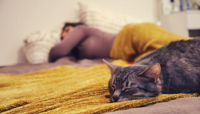 Woman asleep with sleeping cat on the bed