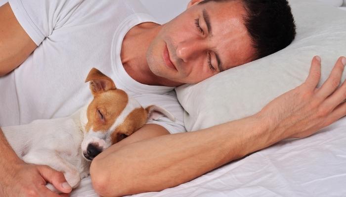 Man & dog sleeping together