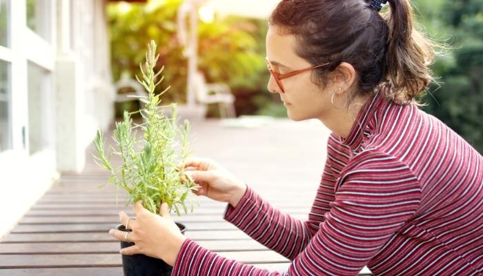 Woman focusing on plant