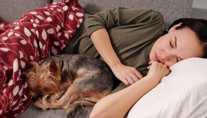 Woman napping on the couch with pillow, blanket, and dog