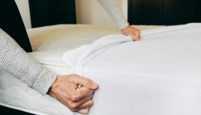 does mainstays mattress protector bed bugs