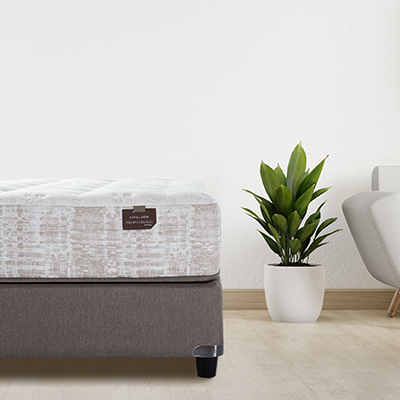 Shot of the corner of an Aireloom mattress with a plant in the background. 