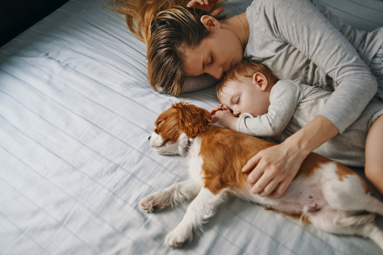 young mother napping with her baby and puppy