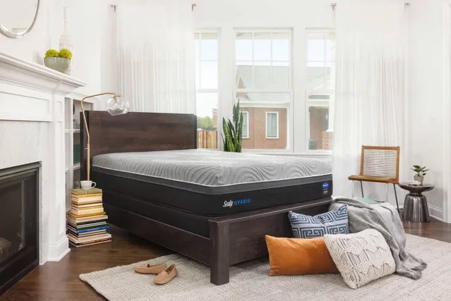 sealy performance ii plush full mattress reviews