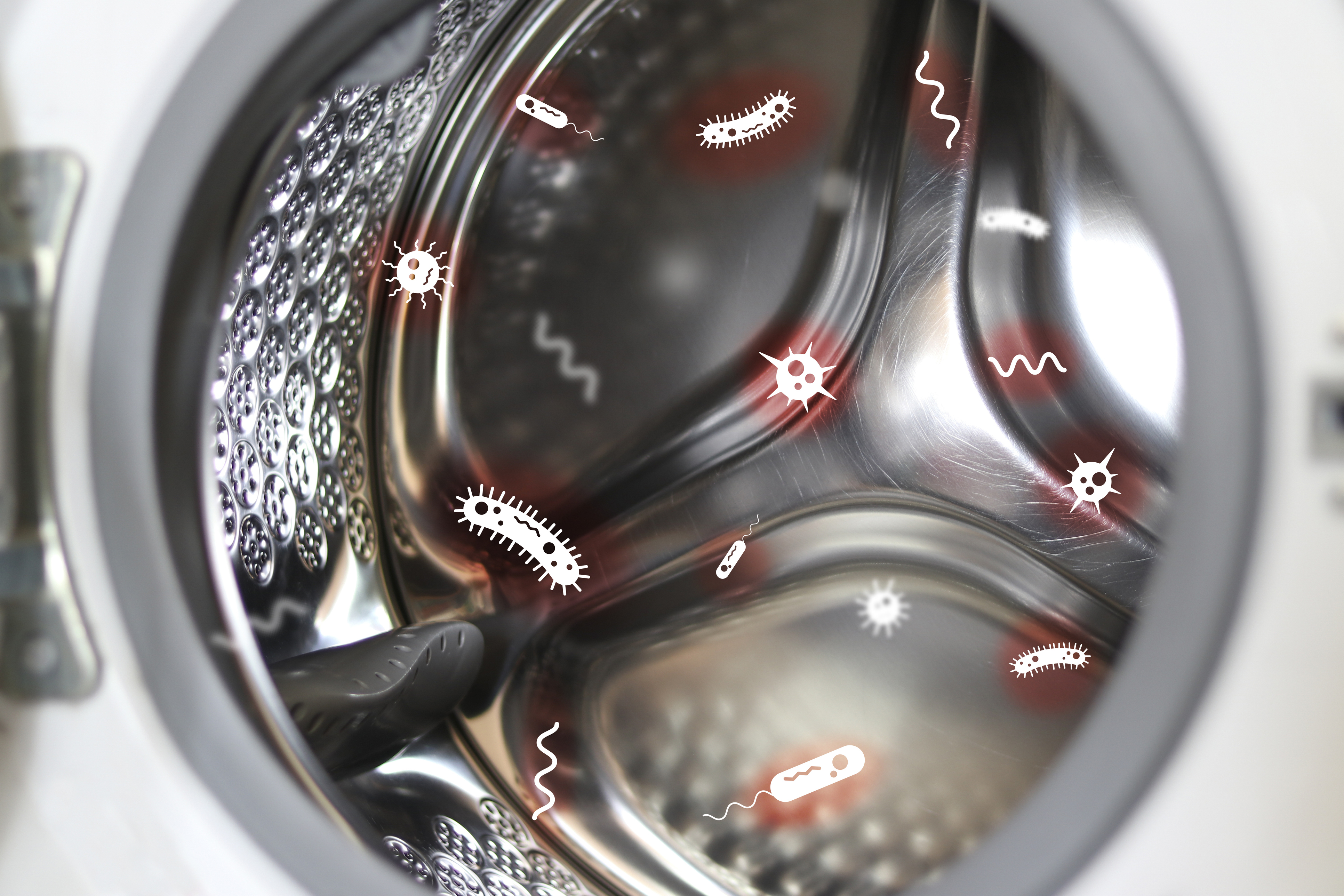graphic depiction of bacteria on the drum of front load washing machine