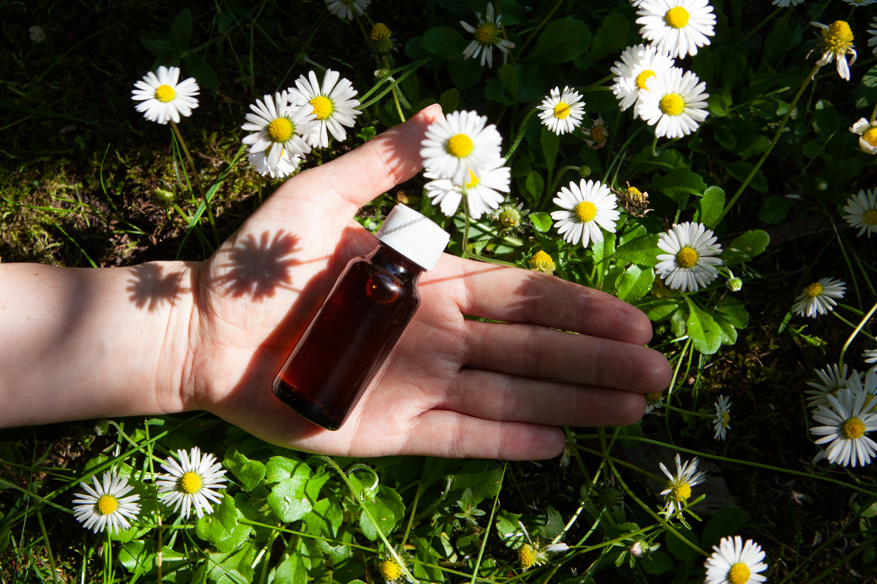 open palm holding vial of essential oil against a bed of chamomile