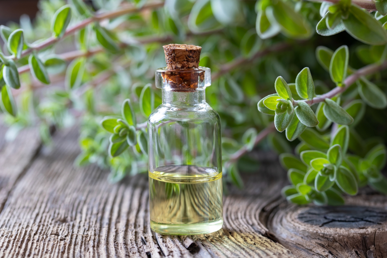 vial of essential oil against marjoram shrub