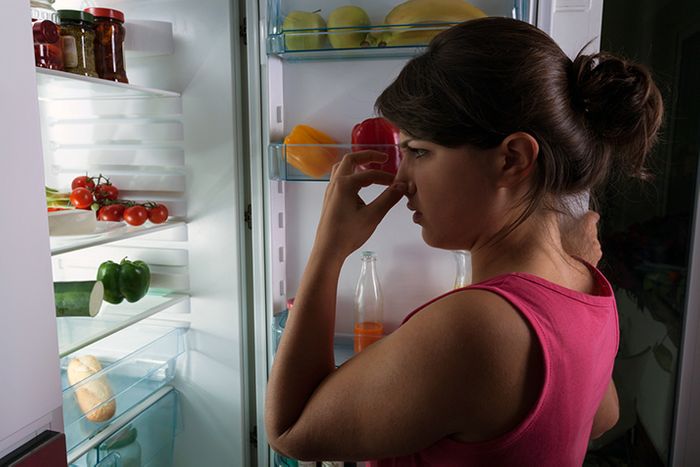 Tips to Remove Odors from Your Refrigerator