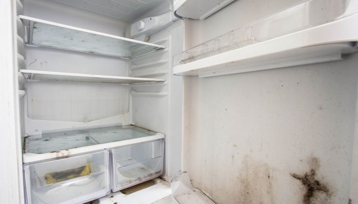 5 Ways To Tell If Your Fridge Should Go To The Junkyard | Grand ...