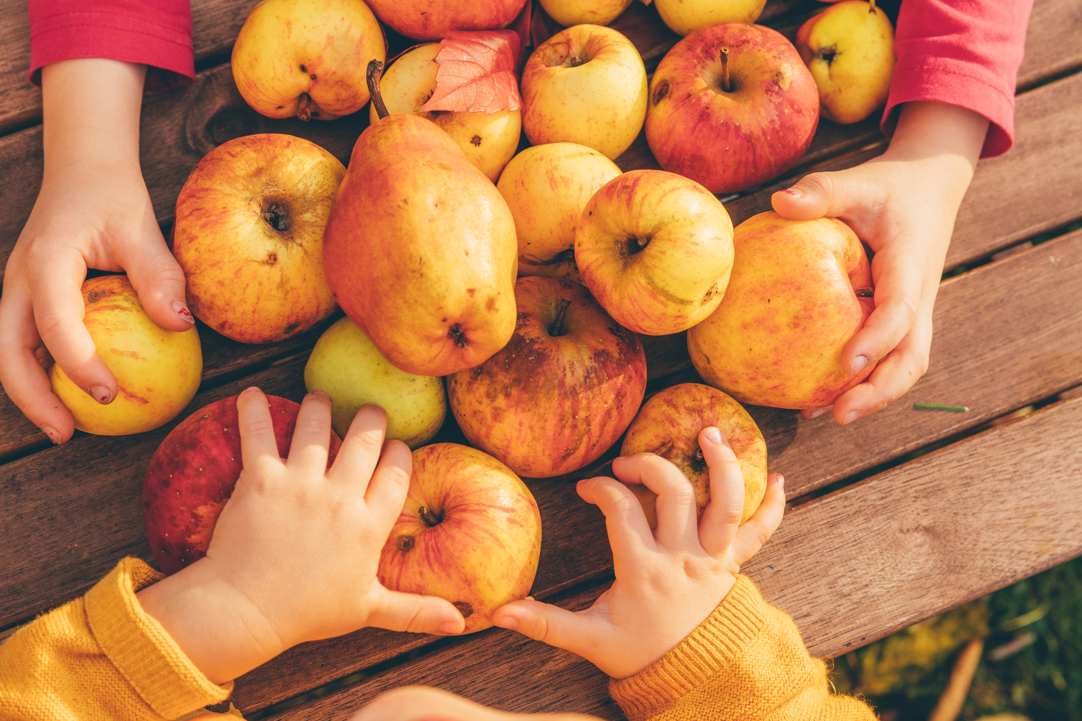 Small Fuji Apple - Each, Small/ 1 Count - Smith's Food and Drug