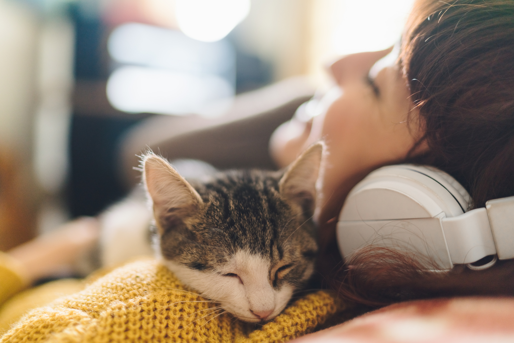 woman listening to music and taking a nap with her cat