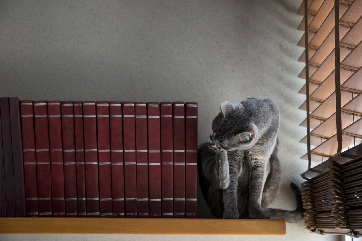 Smart blinds protecting a bookshelf in a fancy home.