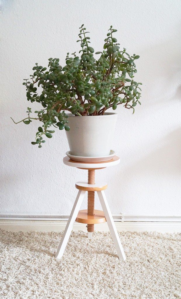 Stool as a Plant Stand