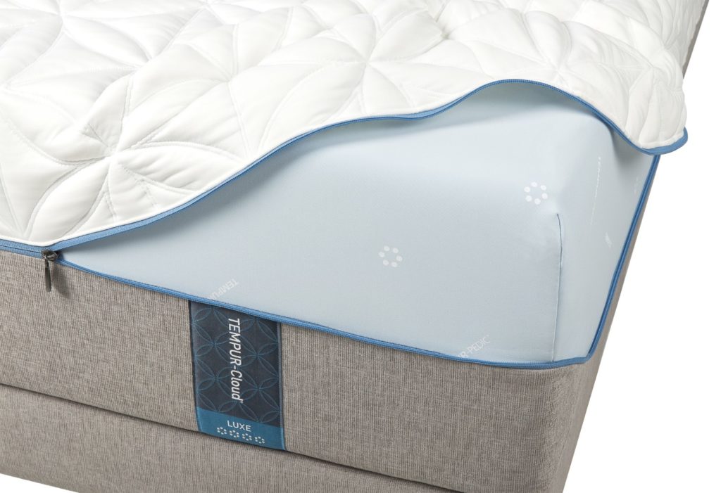 sealy norman mattress