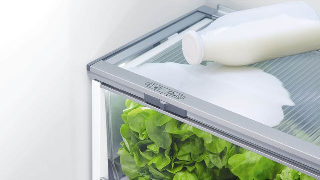 Réfrigérateur à congélateur inférieur de 36 po Fisher Paykel® de 16,8 pi³ - Prêt pour le panneau 10