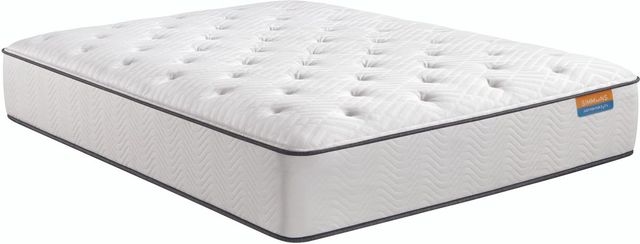 Simmons® Dreamwell Holiday™ Wrapped Coil Plush Tight Top Queen Mattress 12