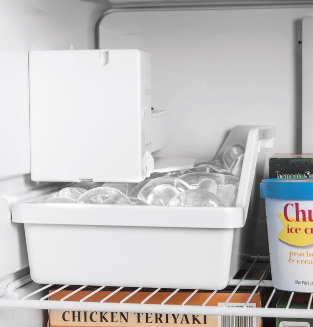 GE® 17.5 Cu. Ft. Black Top Freezer Refrigerator (S/D) 5
