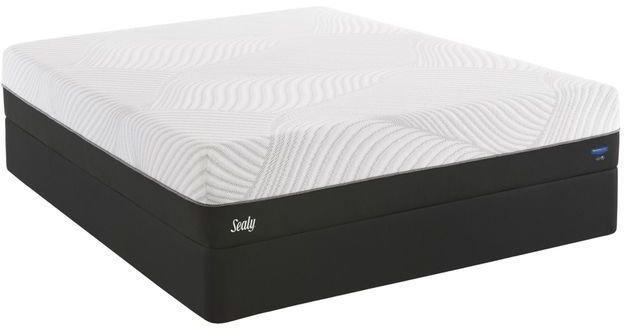 Sealy® Performance™ N9 Conform Thrilled 1.5 Gel Memory Foam Plush Queen Mattress 13