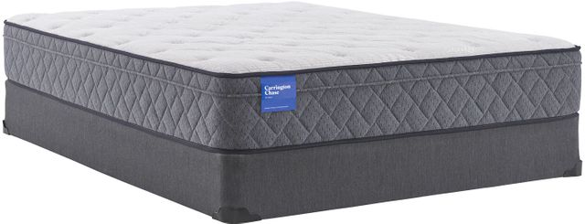 Carrington Chase by Sealy® Belgrave Top Plush Queen Mattress 11