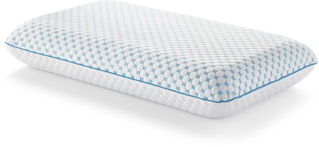 Weekender® Gel Memory Foam + Reversible Cooling Cover Queen Pillow