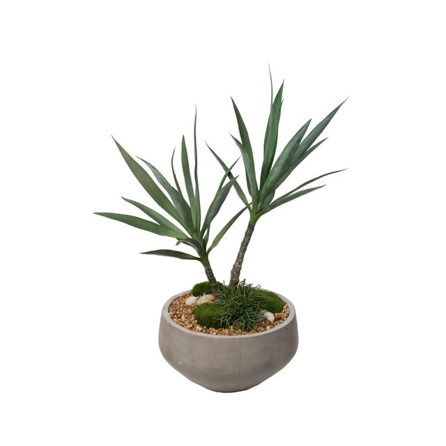 Foster's Point Yucca Planter with Cactus-0