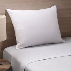 Concept ZZZ White Queen  600 FP Duck Down Pillow