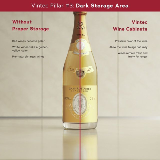 Vinoteca recessed CV-24CE red and white wines