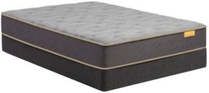Simmons® Deep Sleep™ Wrapped Coil Plush Tight Top Twin XL Mattress in a Box