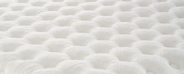 Stearns & Foster® Estate® F2 Luxury Plush Euro Pillow Top Twin Mattress 2