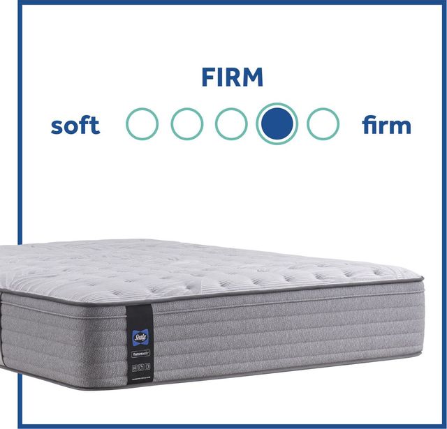 Sealy® Posturepedic® Spring Lavina II Innerspring Firm Faux Euro Top Queen Mattress 59