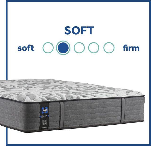 Sealy® Satisfied II Innerspring Tight Top Plush Queen Mattress 39