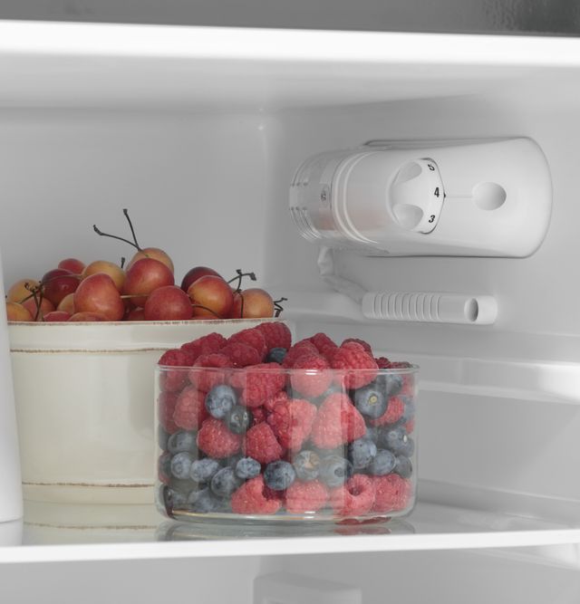 GE® 9.9 Cu. Ft. Stainless Steel Top Freezer Refrigerator 7