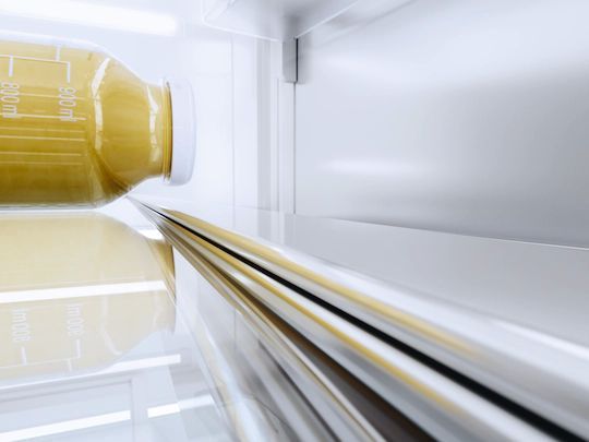 Miele MasterCool™ 16.8 Cu. Ft. Stainless Steel Counter Depth Freezerless Refrigerator 9