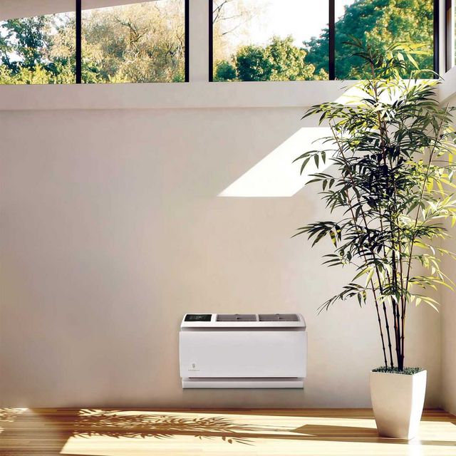 Friedrich WallMaster® 10,000 BTU White Thru the Wall Air Conditioner 2